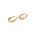 Croissant Twisted Latch Earrings